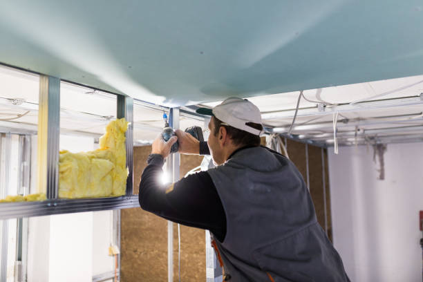 Best Blown-in Insulation in Sherman, IL